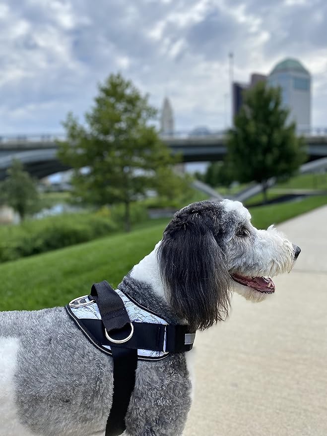 ShawnCo Essential Dog Harness, No-Pull Pet Vest with 3 Leash Clips, No Choke, Reflective, Adjustable and Padded, for Easy Walking and Training for Small, Medium and Large Dogs (White Marble, XL)