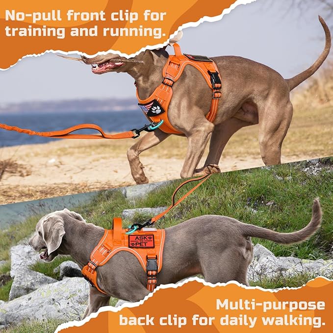 rabbitgoo Tactical Dog Harness for Large Dogs, No Pull Military Service Vest with Handle & Molle, Easy Control for Training Walking, Adjustable Reflective Straps, Orange, L