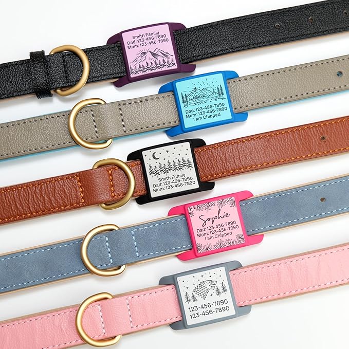 Silent Dog Tag, Personalized Engraved Tracker Case for Pet Collar, Quiet Slide On Tags for Collars