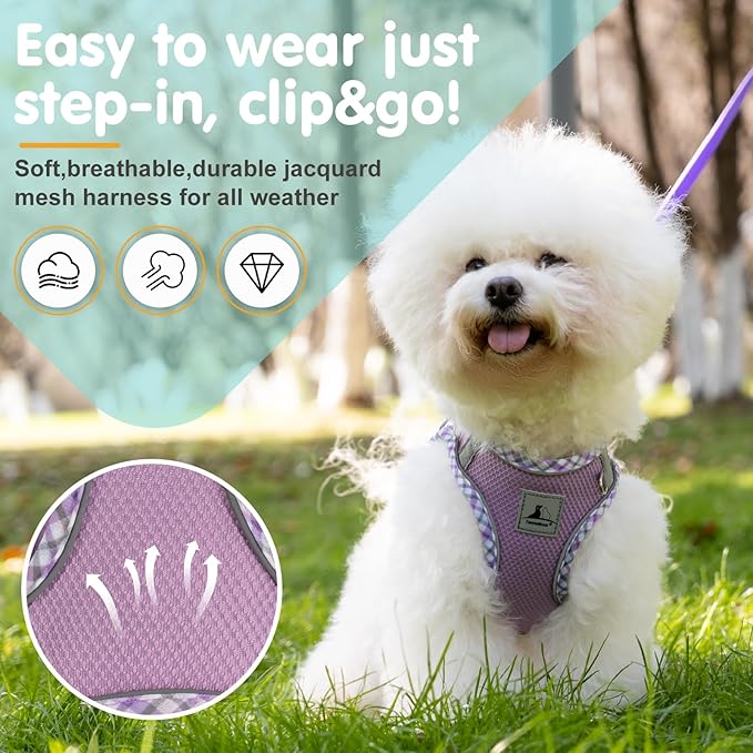 Dog Harness and Leash Set, No Pull Soft Breathable Adjustable Reflective Step In Vest Harness for Puppy, Kitten, Cats