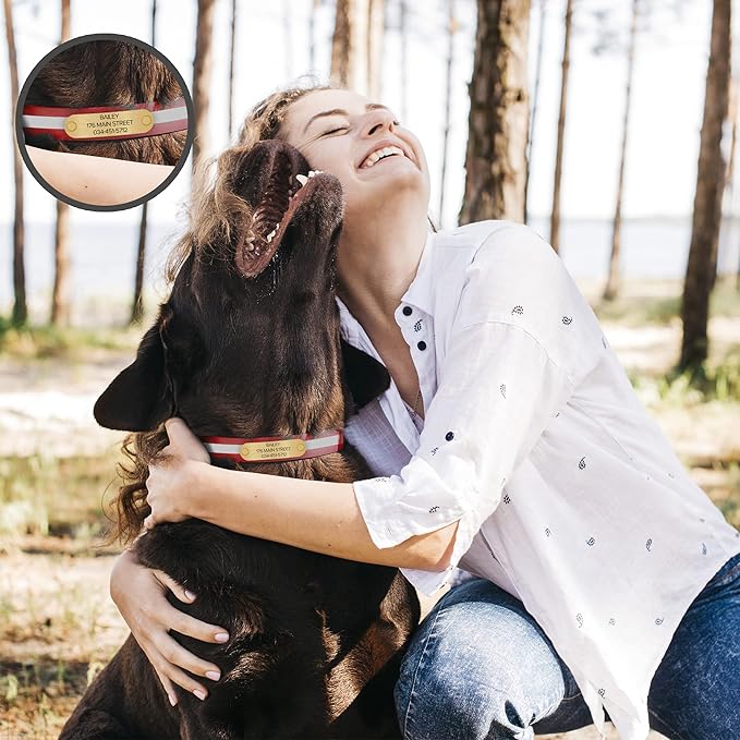 Regal Dog Products Small Red with Custom Engraved Reflective Dog Collar and Leash Set | Waterproof Dog Collar with D Ring | Center Ring & 5'ft Leash | Matching Dog Collar and Leash for Dogs