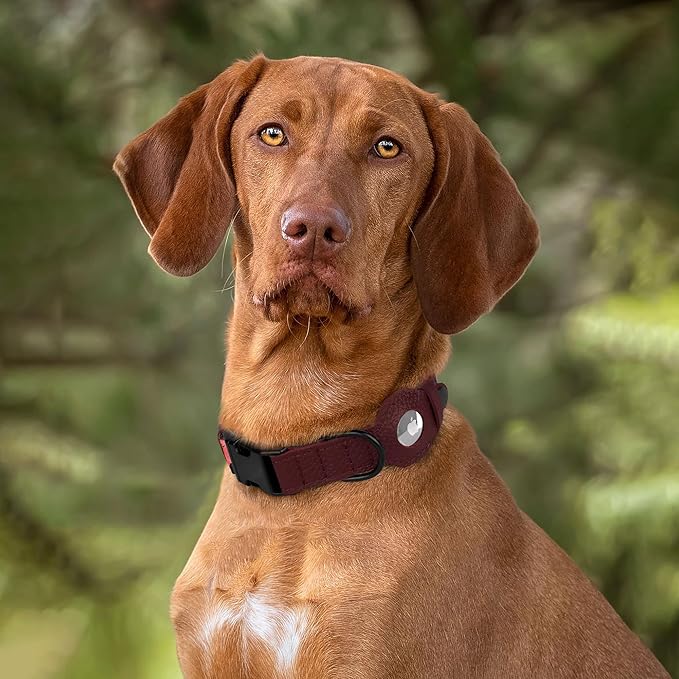 AirTag Dog Collar with Metal Buckle - Printed Nylon Soft Leather Dog Collar with Apple AirTag Holder - Secure Tracking GPS Pet Collars for Girl Boy Small Large Dogs (L, 17"-21" Neck Fit, Crossandra)