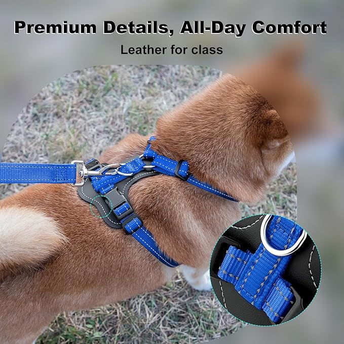 Plutus Pet Adjustable No Pull Dog Harness with Leather Accents, Heavy Duty Reflective Nylon Vest for Training, Hiking, Easy Walk Harness for Small, Medium, Large Dogs (Royal Blue, M)