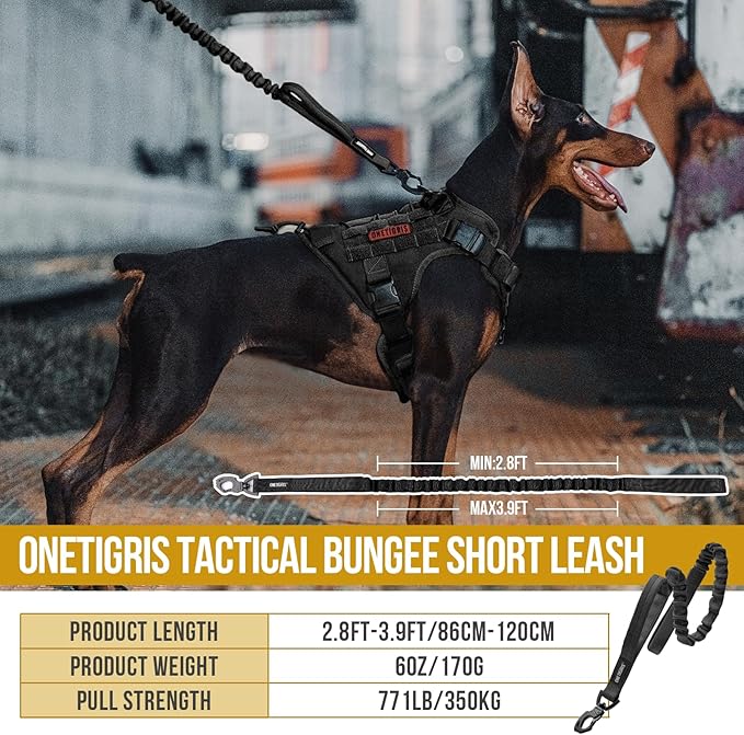 Tactical Dog Training Bungee Leash with 2 Control Handle Quick Release Nylon Leads Rope (Black)