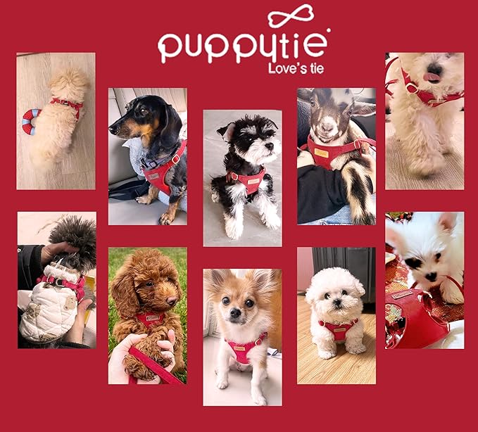 Puppytie No Pull XXS Puppy Harness with Multifunction Dog Leash,Soft Adjustable No Choke Escape Proof Pet Harness Vest,red-Camellia,XXS
