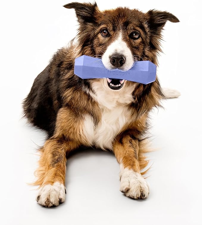 Playology Dog Toys | Durable Squeaky Chew Stick for Dogs | Jumbo Blueberry Scented Toy - Easy to Clean and Made from Non Toxic Materials