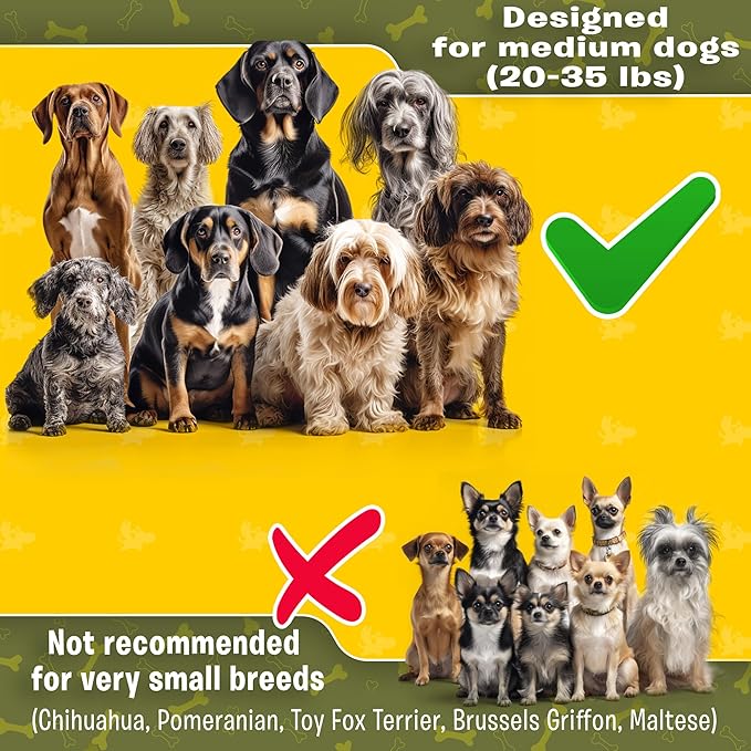 Exquisite Hands-Free Leash for Medium Dogs: Ultimate Comfort & Freedom for Running, Walking, Hiking. Premium Quality, Durable & Versatile Waist Dog Leash Belt. Your Dog Will Love It