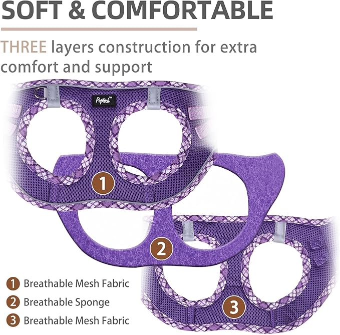 PUPTECK Dog Harness and Leash Set for Small Medium Dogs No Pull Step-in Soft Mesh Puppy Cat Vest Harnesses Reflective at Night, Upgraded New Purple S