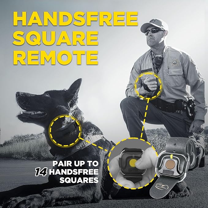 Dogtra 1900X Black Edition E-Collar - 3/4 Mile Range, Dogs 45 lbs+, IPX9K Waterproof, 100 Stimulation Levels, Vibration, Tone, Rechargeable - Ideal for Dog Owners and Professional Trainers