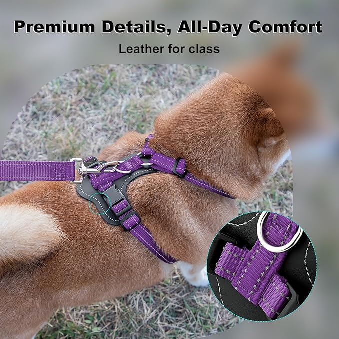 Plutus Pet Adjustable No Pull Dog Harness with Leather Accents, Heavy Duty Reflective Nylon Vest for Training, Hiking, Easy Walk Harness for Small, Medium, Large Dogs (Purple, S)