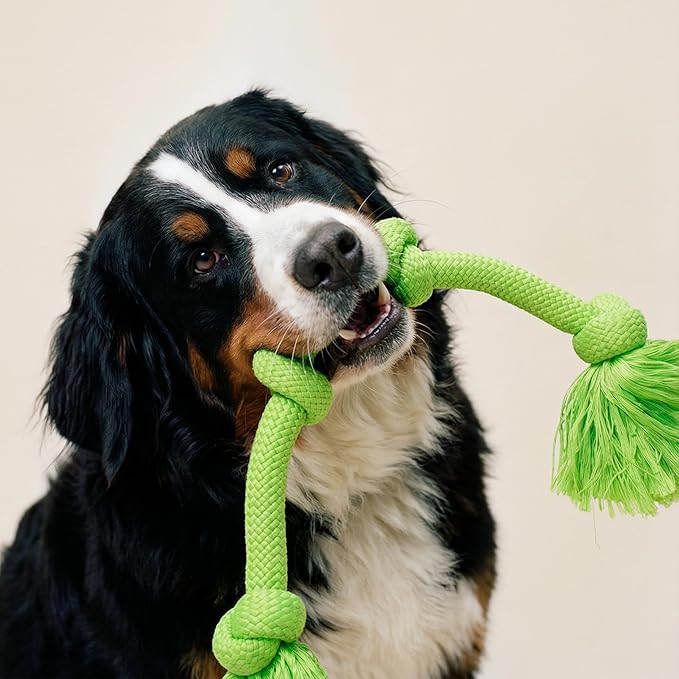Playology Rope Toys for Dogs | Tug of War Dog Toy for Aggressive Chewers | Sweet Potato Scented Dog Toys | Mega Rope Toy for Interactive Play