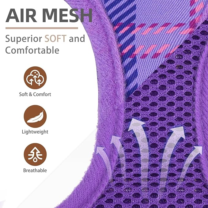 PUPTECK Dog Harness and Leash Set for Small Medium Dogs No Pull Step-in Soft Mesh Puppy Cat Vest Harnesses Reflective at Night, Plaid Pattern Purple XS