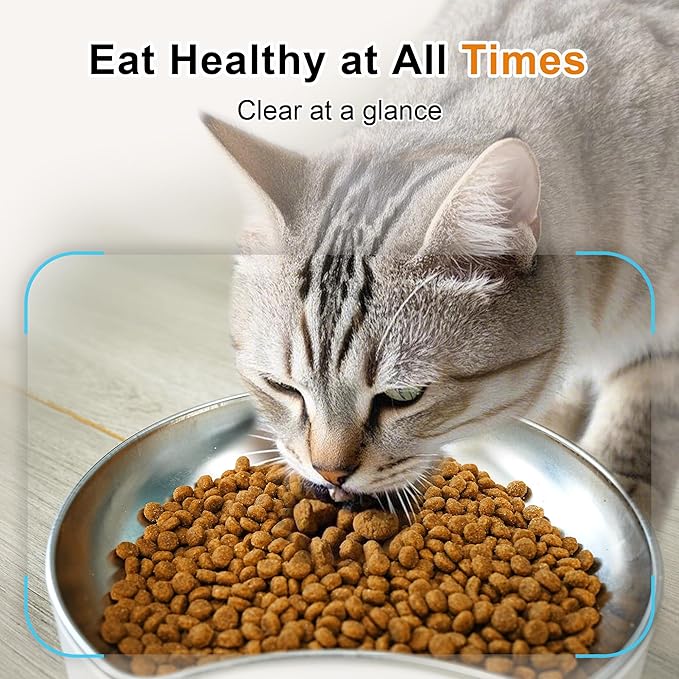 6L AI Automatic Cat Feeder with Dual Camera, 1080P HD Night Vision & Dual Power Supply, Easy Setup Timed Food Dispenser with Desiccant Bag for Cats & Dogs (Black)