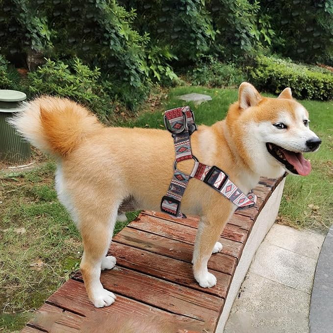 QQPETS Dog Harness Leash Set Adjustable Heavy Duty No Pull Halter Harnesses for Small Medium Large Breed Dogs Back Clip Anti-Twist Perfect for Walking