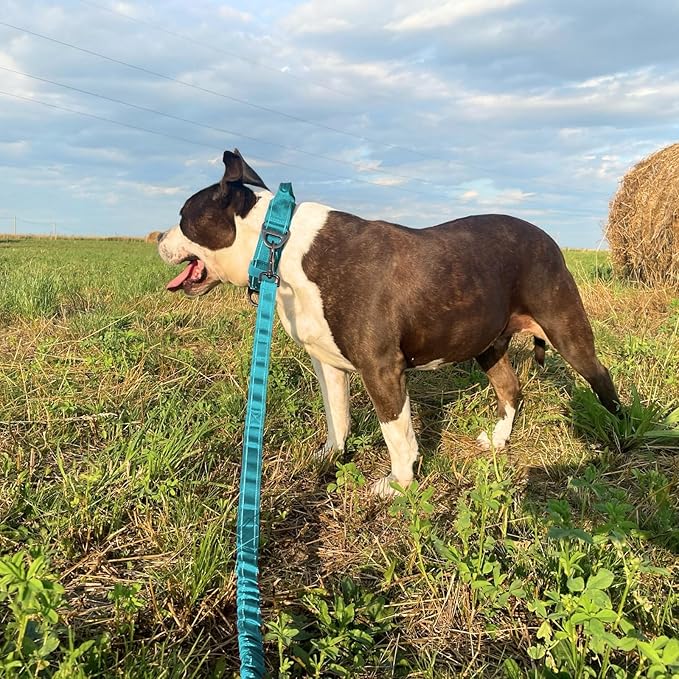 ADITYNA Tactical Bungee Dog Leash 6ft-7.5ft - Shock Absorbing Lead with 2 Padded Handles, Metal Clasp, Car Seatbelt - Heavy Duty No Pull for Medium, Large & XL Breeds