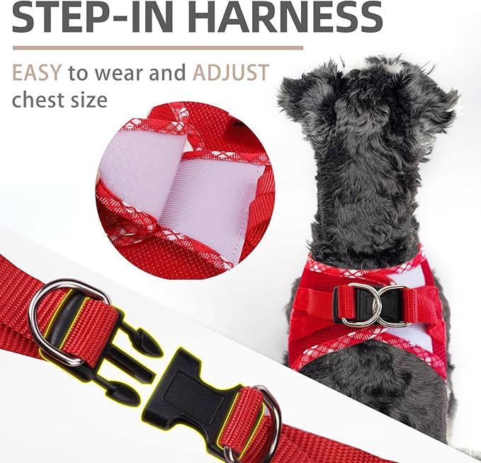 PUPTECK Dog Harness and Leash Set for Small Medium Dogs No Pull Step-in Soft Mesh Puppy Cat Vest Harnesses Reflective at Night, Red, XS