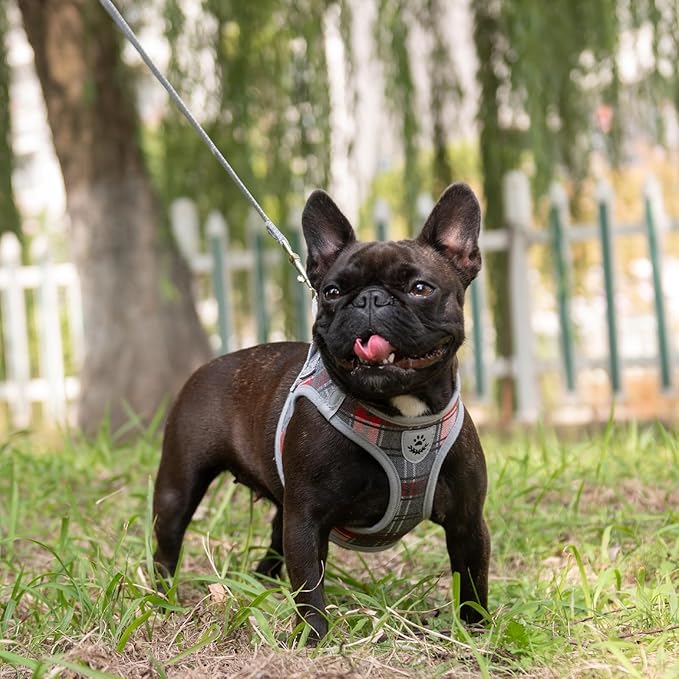 EXPAWLORER Classic Plaid Puppy Harness - Small Dog Harness and Leash Set - Dog Collar and Leash Set with AirTag Holder, Soft Padded Step in Dog Vest Harness No Pull Reflective for Outdoor, Grey M