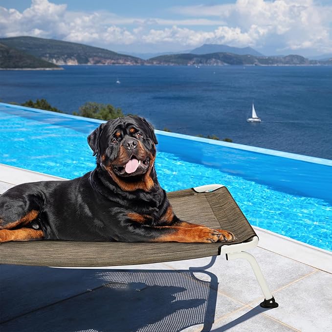 Veehoo Elevated Dog Bed for Outdoor, Cooling Waterproof Raised Dog Cots Beds XL, Curved Off Ground Pet Hammock Cot Lifted for Outside, up to 150lbs, White Legs, Brown 49"