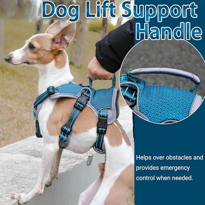 BELPRO Multi-Use Support Dog Harness, Escape Proof No Pull Reflective Adjustable Vest with Durable Handle, Dog Walking Harness for Big/Active Dogs (Blue, XL)