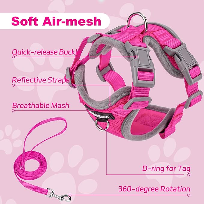 Small Dog Harness and Leash Set, No Pull Adjustable Pet Harness for Small Dogs, Breathable Mesh Rflective Dog Vest Harness (Rose Red, S)