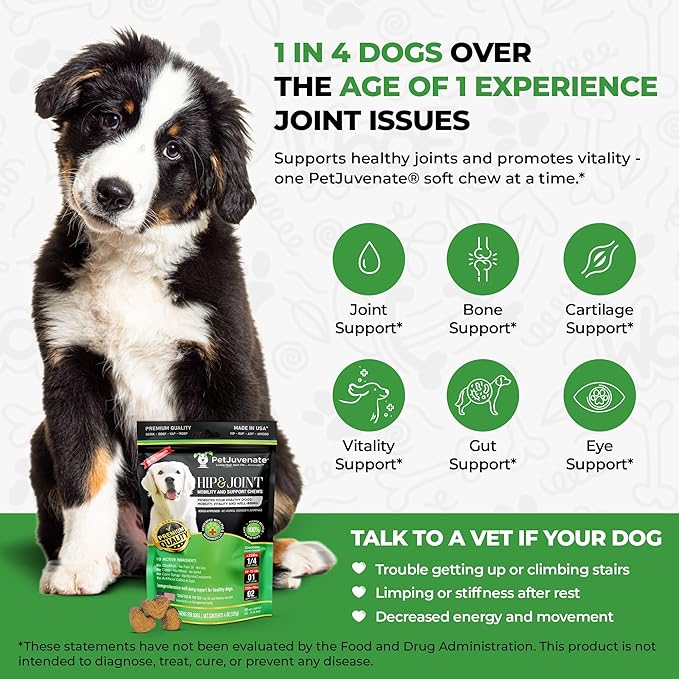 PetJuvenate® Soft Chews for Healthy Dogs – Patent Pending – Joint & Wellness Support – Helps Maintain Hip & Joint Health in Dogs – Developed with PhD & Vet Nutritionist Input –for 12 Months & Older