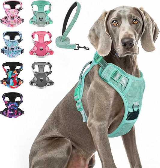 BEAUTYZOO No Pull Dog Harness, Adjustable Dog Harness and Leash Set -Easy Wearing with 3 Buckles/Control Handle,No Choke Soft Padded Reflective Pet Vest for Training Walking Hiking,Solid Aqua Blue XL