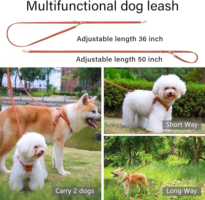 CHEDE No Pull Puppy Harness and Multifunction Dog Leash Set- 8 Colors Soft Adjustable No Choke Escape Proof Cute,Lightweight Pet Vest Harness for Small and Medium Dog (M, Khaki)