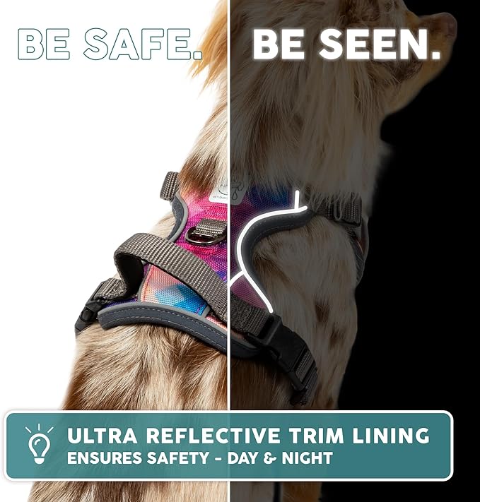 Embark Adventure No Pull Dog Harness, Reflective Trim No Pull Harness for Medium Sized Dog - Military Grade Nylon, Front Clip with Gel Lined Handle. Soft & Padded Puppy