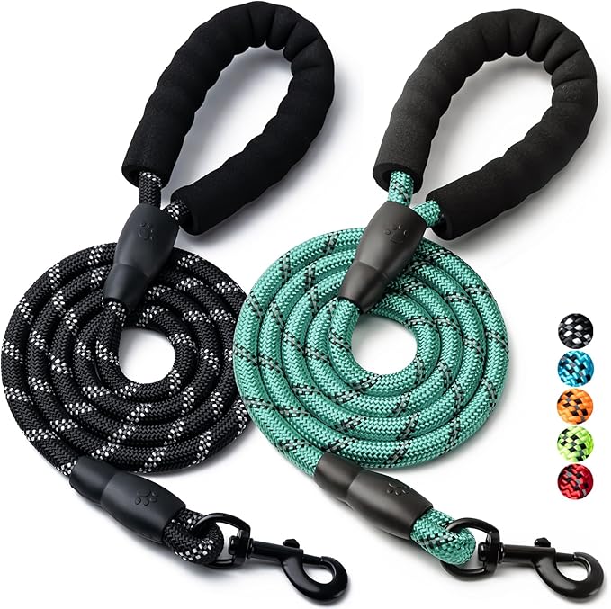 2 Pack Dog Leash, 4/5//6 FT Heavy Duty Nylon Rope Pet Leashes with Comfortable Padded Handle, Reflective Dog Leashes for Small Medium and Large Dogs (6FT-1/2,Black/Turquoise)
