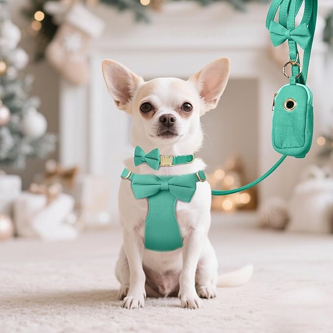 Beirui Cute XXS Dog Harness Set with Three Detachable Bows, Adjustable Step in Dog Harness Collar and Leash Set with Secure Metal Buckle for Daily Walking, Parties & Holiday Outfits(Teal,XXS)