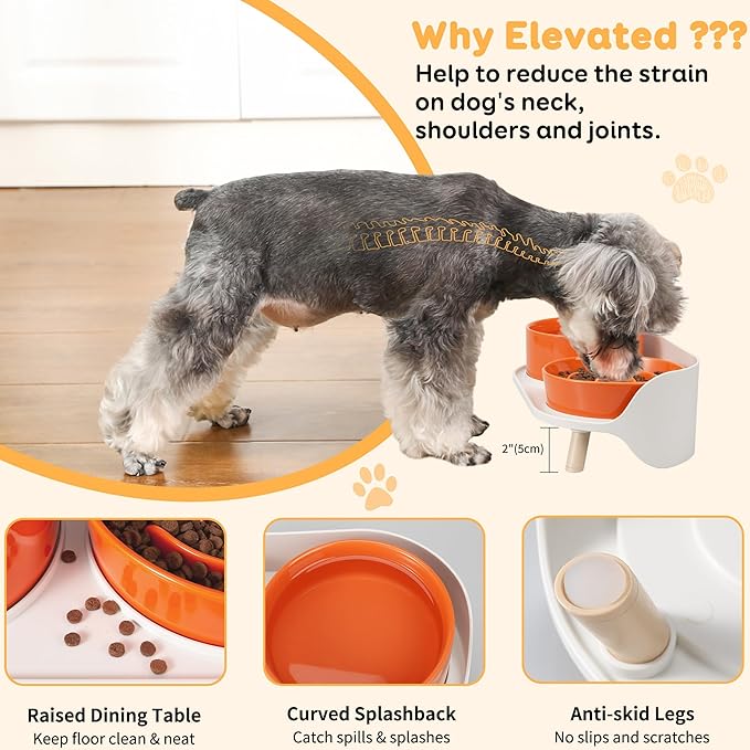 Elevated Slow Feeder Dog Bowls - Ceramic Food and Water Bowl Set with Stand - Raised Pet Dishes for Small and Medium Sized Dogs