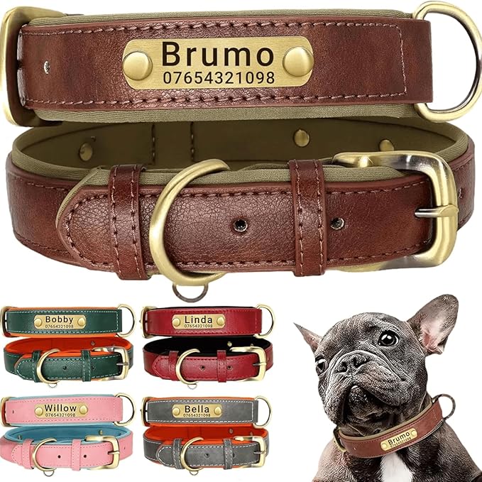 Leather Dog Collar Personalised and Leash Set, Personalized with Soft Padded Design Heavy Duty Featuring Custom Engraved Name Plate for Small Medium and Large Dogs