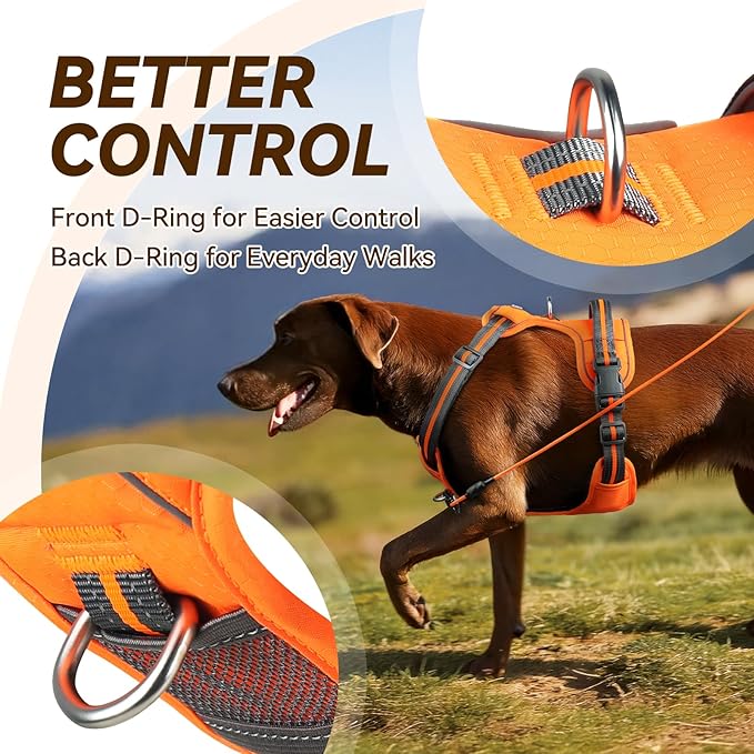 VIVAGLORY Dog Harness Easewalk No Pull Dog Harness with Handle & Front Back Clip for Training Lifting, Easy On Adjustable Padded No Pull for Pet & Puppy, L, Orange