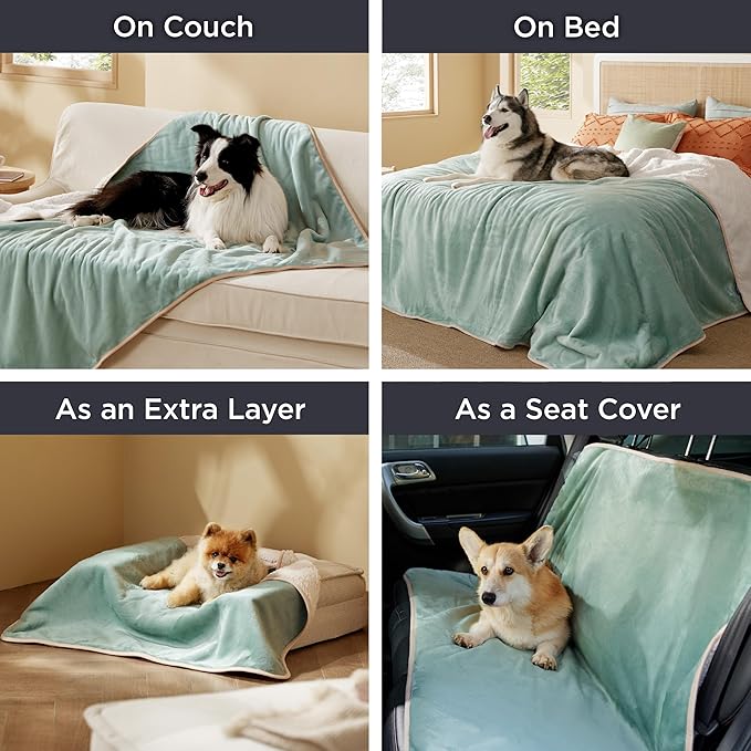 Bedsure Waterproof Dog Blankets for Extra Large Dogs - XL Cat Blanket Washable for Couch Protection, Sherpa Fleece Puppy Blanket, Soft Plush Reversible Throw Furniture Protector, 50x60, Light Green