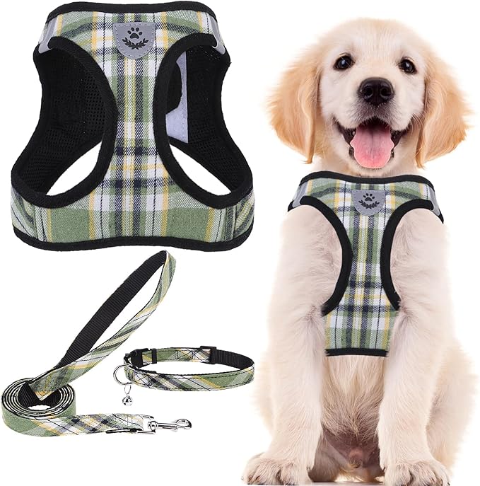 PUPTECK Adjustable Dog Harness Collar and Leash Set Step in No Pull Pet Harness for Small Medium Dogs Puppy and Cats Outdoor Walking Running, Soft Mesh Padded Reflective Vest Harnesses, Grn&YLW, XXS