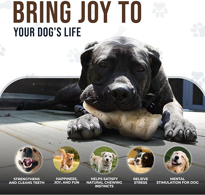 Gorilla Wood Dog Chew Toys - 100% Natural, Wood Chews for Dogs - Stress Relief, Teeth Cleaning & Reducing Boredom, Wood Dog Toy for Medium & Large Dogs