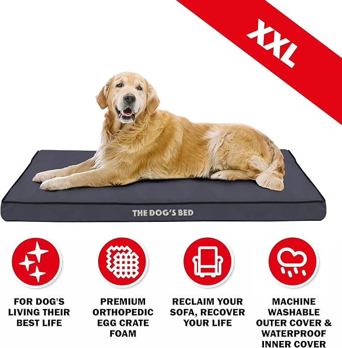 The Dog’s Bed Orthopedic Dog Bed, XXL Grey with Black Trim, Waterproof, Supportive Dog Bed with Washable Replaceable Covers, Veterinary Approved