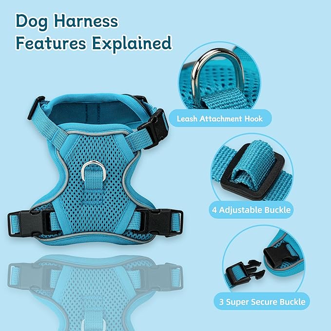Small Dog Harness and Leash Set, Reflective Soft Breathable Mesh Vest, 3 Buckles, Adjustable Neck and Chest,Step in Dog Harness for Walking, Running, Training, Turquoise, S