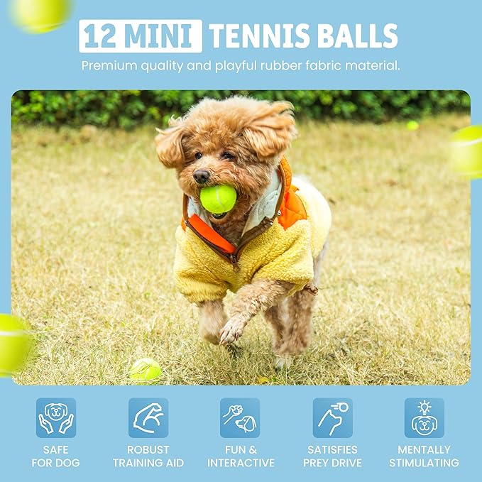12 Small Tennis Balls for Dogs | 2 Inch Dog Fetch Toys for Your Smaller Pups | Non-Abrasive for Smaller Mouths | Interactive Dog Toys for Boredom & Fun | Works with Ball Launcher for Small Dogs