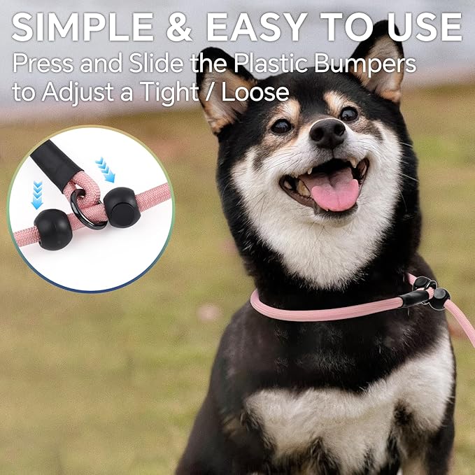 QQPETS Adjustable Slip Lead Dog Leash, Hands Free Waist Leash for Dog Walking, Reflective Training Lead with 360° Swivel Anti-Tangle, 4-7 ft Length for All Breeds