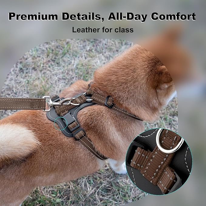 Plutus Pet Adjustable No Pull Dog Harness with Leather Accents, Heavy Duty Reflective Nylon Vest for Training, Hiking, Easy Walk Harness for Small, Medium, Large Dogs (Chocolate, S)