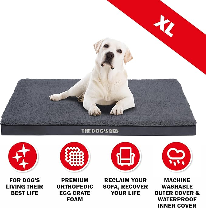 The Dog’s Bed Orthopedic Dog Bed, XL Grey Plush, Waterproof, Supportive Dog Bed with Washable Replaceable Covers, Veterinary Approved