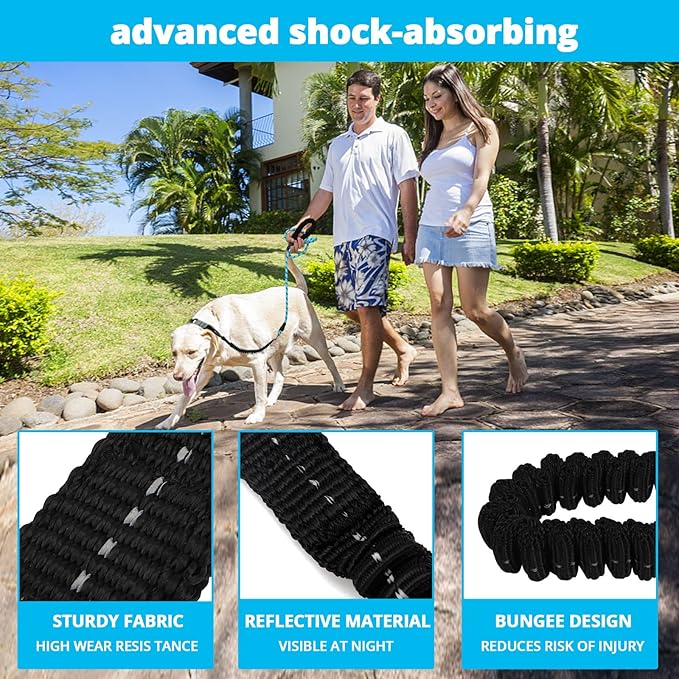 Rope Dog Leash 6 FT: Heavy Duty Leashes with Swivel Lockable Hook Reflective Threads Bungee and Padded Handle - Dog Lead for Large Small Medium Dogs Outside Walking Hiking Blue