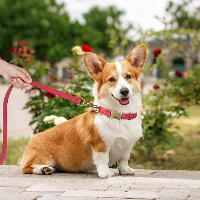 Didog Soft PU Leather Dog Collar, Stylish Quick Released Dog Collars for Medium Dogs, Easy Clean Adjustable Pet Collar for Daily Walking, Red, M Fit 13-21" Neck
