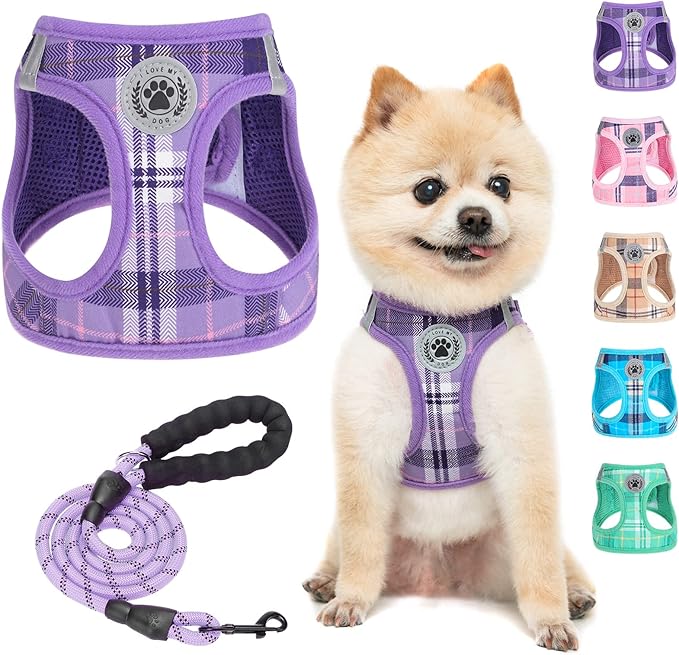 BEAUTYZOO Small Dog Harness and Leash Set,Step in No Choke No Pull Soft Mesh Dog Harnesses Reflective for Extra-Small/Small Medium Puppy Dogs and Cats, Plaid Dog Vest Harness for XS S Pets, Purple XXS