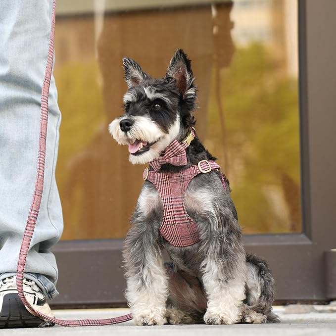 Beirui Cute Extra Small Dog Harness Collar and Leash Set with Bowtie, Soft Adjustable Plaid Puppy Harness for Small Sized Dogs Cats Walks Parties and Photoshoots(Maroon,XS:Chest 13-18")