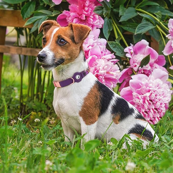 AirTag Dog Collar for Small Medium Large Breed - Adjustable Cute Pattern Dog Collar with Airtag Holder - Soft Leather Tracker GPS Apple Air Tag Pet Collars (Large, 17"-21" Neck Fit, Peonies)