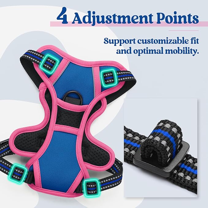 rabbitgoo Dog Harness No Pull with 2 Leash Clips, Adjustable Soft Padded, Reflective Oxford No Choke Pet Vest with Easy Control Handle for Large Dogs, Blue & Hot Pink, XS