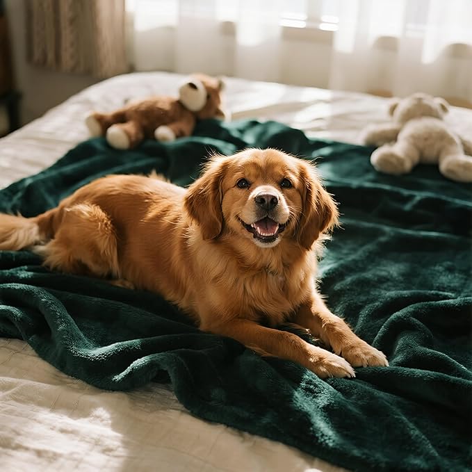 gogobunny Waterproof Bed Blanket, Reversible Sherpa Fleece Throw Blanket for Dog Puppy Cat, Furniture Cover Protects Bed Couch Sofa from Liquid Pee and Pet Fur (Forest Green, 90x108 inches)