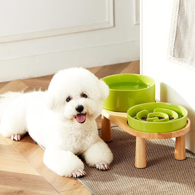 Ceramic Slow Feeder and Water Bowl Set for Medium and Large Dogs, 8.0inch Ceramic Dog Bowls Elevated with Wooden Stand, 2.0 Cups Dog Slow Feeder(30oz) and 70oz Water Bowl Set, Green